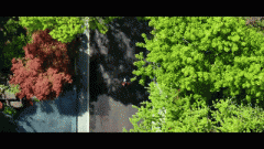 城市房地产权属都必需向房地产所正在地的房地